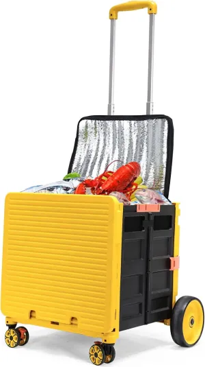Cooler Bag Wheeled，Large Insulated Rolling Cooler Collapsible Leakproof Portable Hard Framed Ice Packs for Camping Picnic Beach Travel