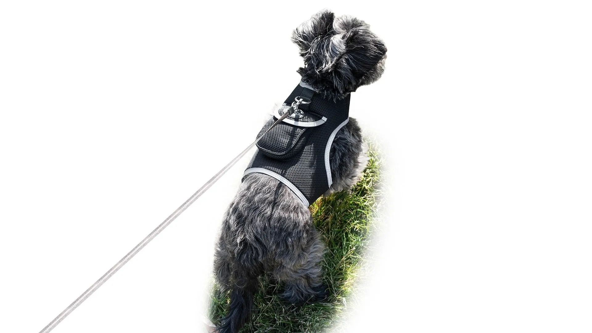 Pet Tracker GSM GPS Collar Mount - Realtime