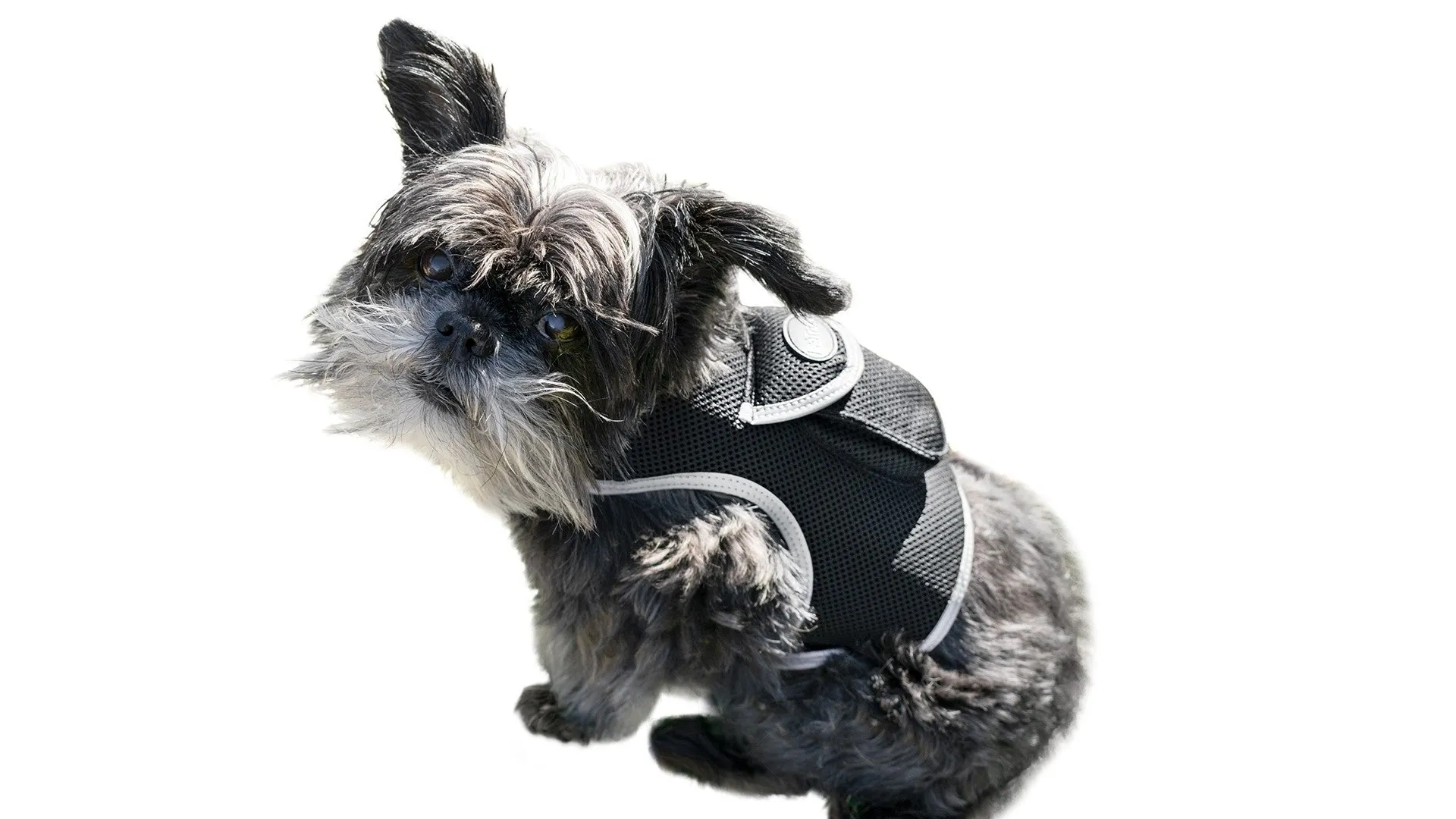 Pet Tracker GSM GPS Collar Mount - Realtime