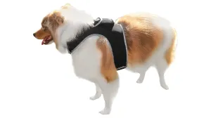 Pet Tracker GSM GPS Collar Mount - Realtime