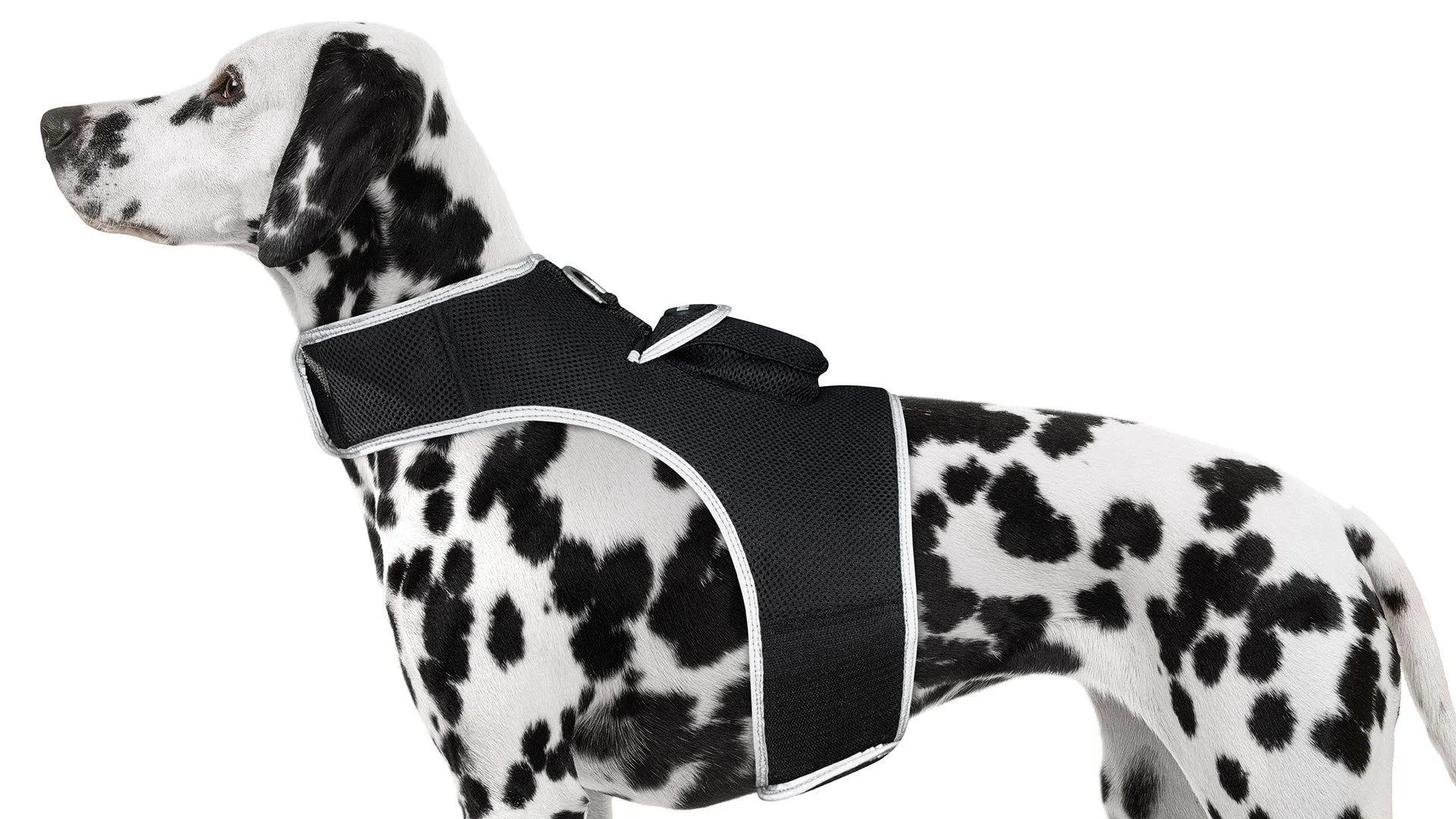 Pet Tracker GSM GPS Collar Mount - Realtime