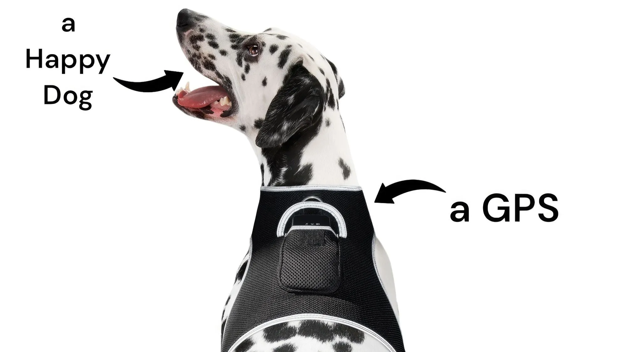 Pet Tracker GSM GPS Collar Mount - Realtime