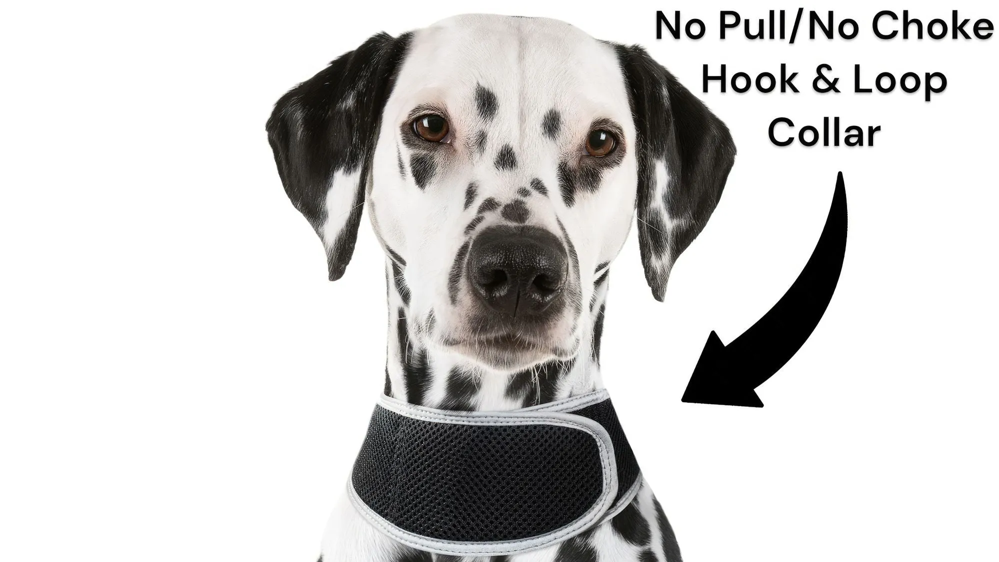 Pet Tracker GSM GPS Collar Mount - Realtime