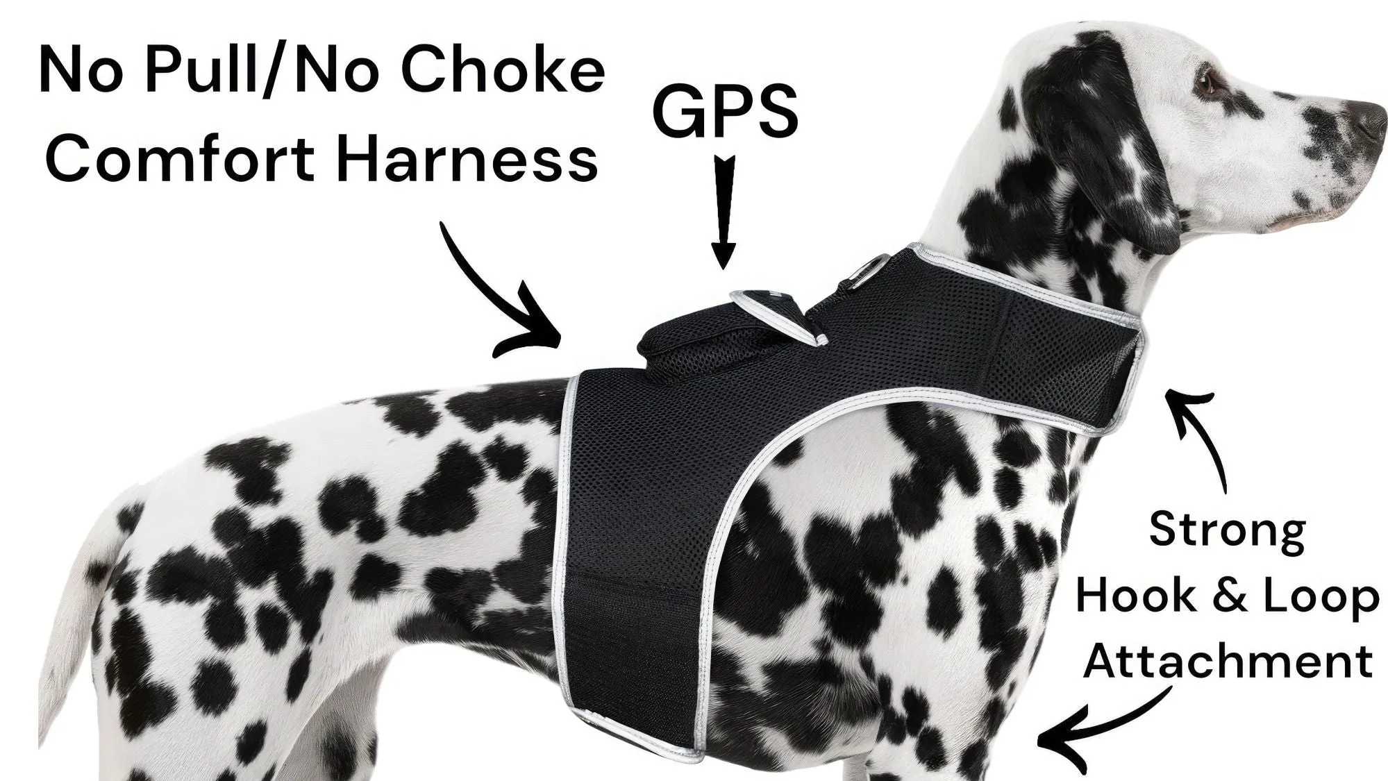 Pet Tracker GSM GPS Collar Mount - Realtime
