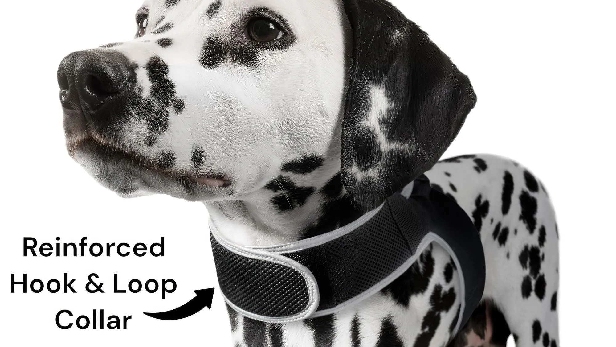 Pet Tracker GSM GPS Collar Mount - Realtime