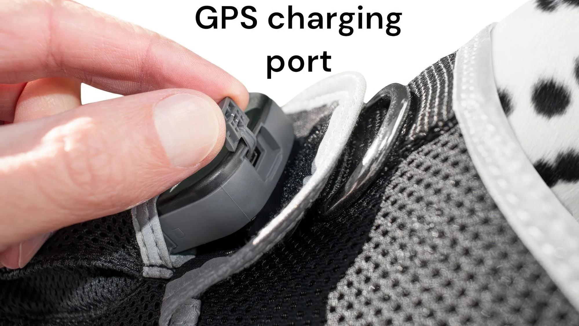 Pet Tracker GSM GPS Collar Mount - Realtime