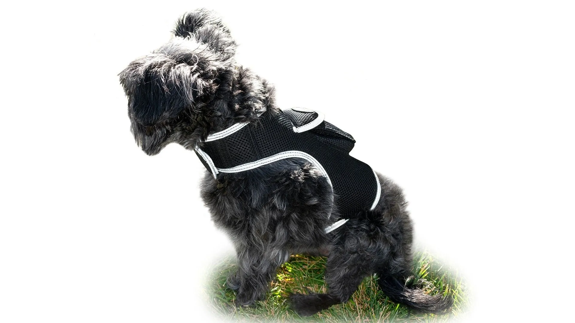 Pet Tracker GSM GPS Collar Mount - Realtime