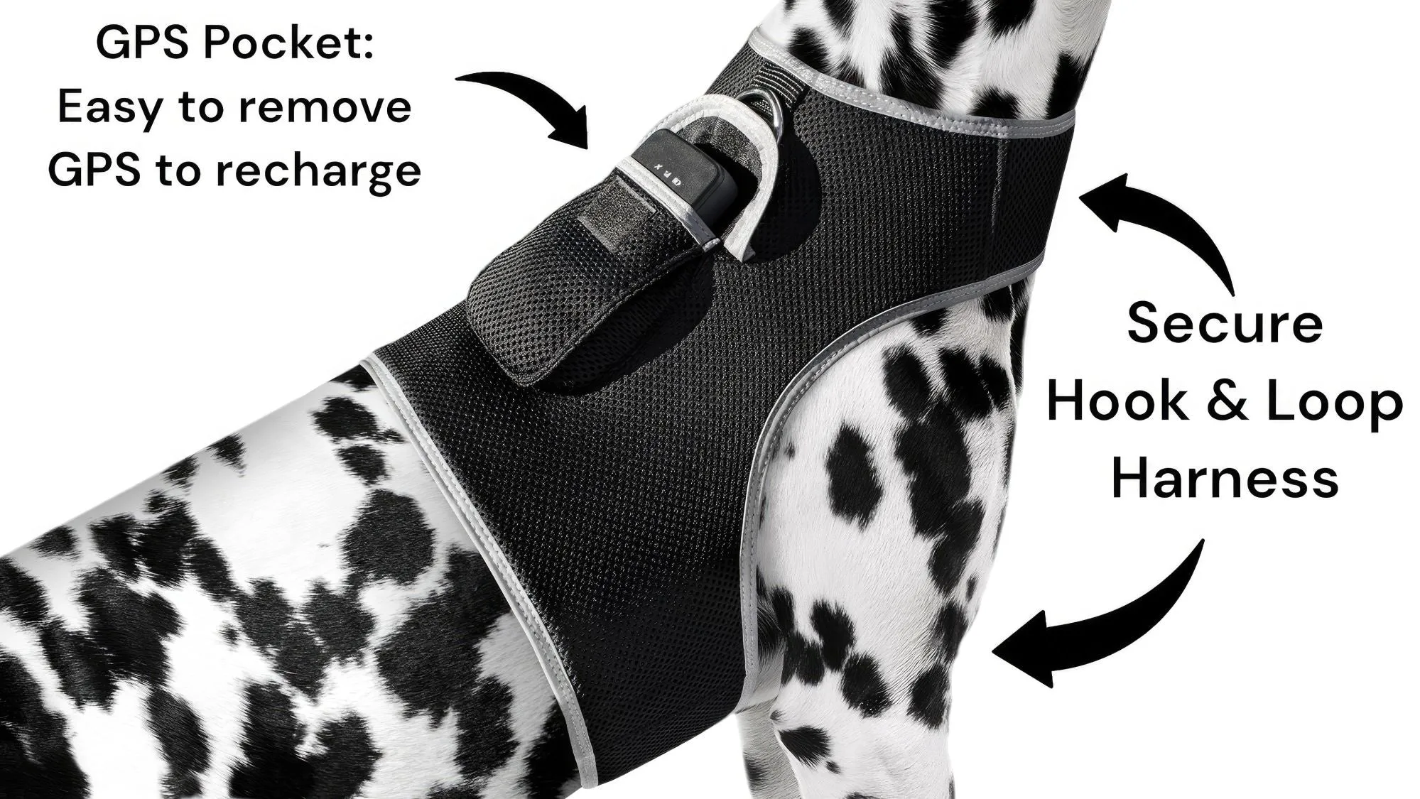 Pet Tracker GSM GPS Collar Mount - Realtime