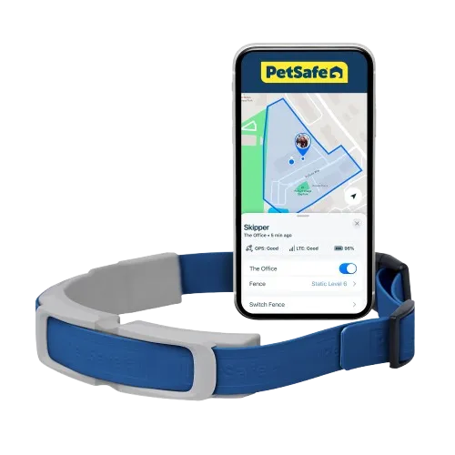 PetSafe Guardian GPS   Tracking Dog Fence Collar, 2-Year Subscription