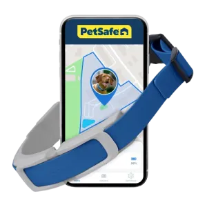 PetSafe Guardian GPS   Tracking Dog Fence Collar, 2-Year Subscription