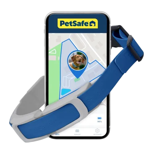 PetSafe Guardian GPS   Tracking Dog Fence Collar, 2-Year Subscription