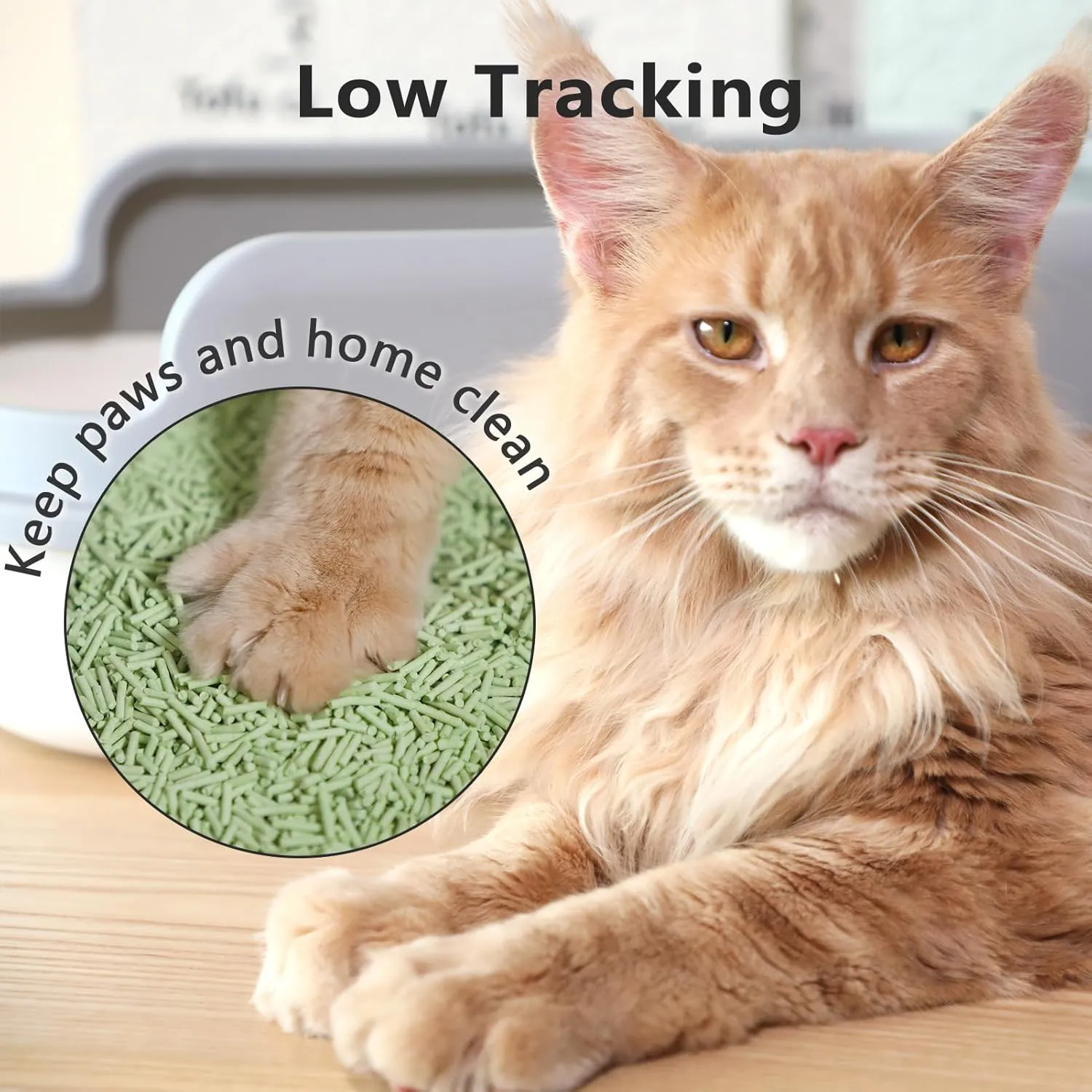 Tofu Cat Litter - Strong Clumping, Ultra Absorbent, Odor Control, Flushable, Low Tracking, Low Dust Tofu Litter Pellets 3 Packs/18LB (Green Tea)
