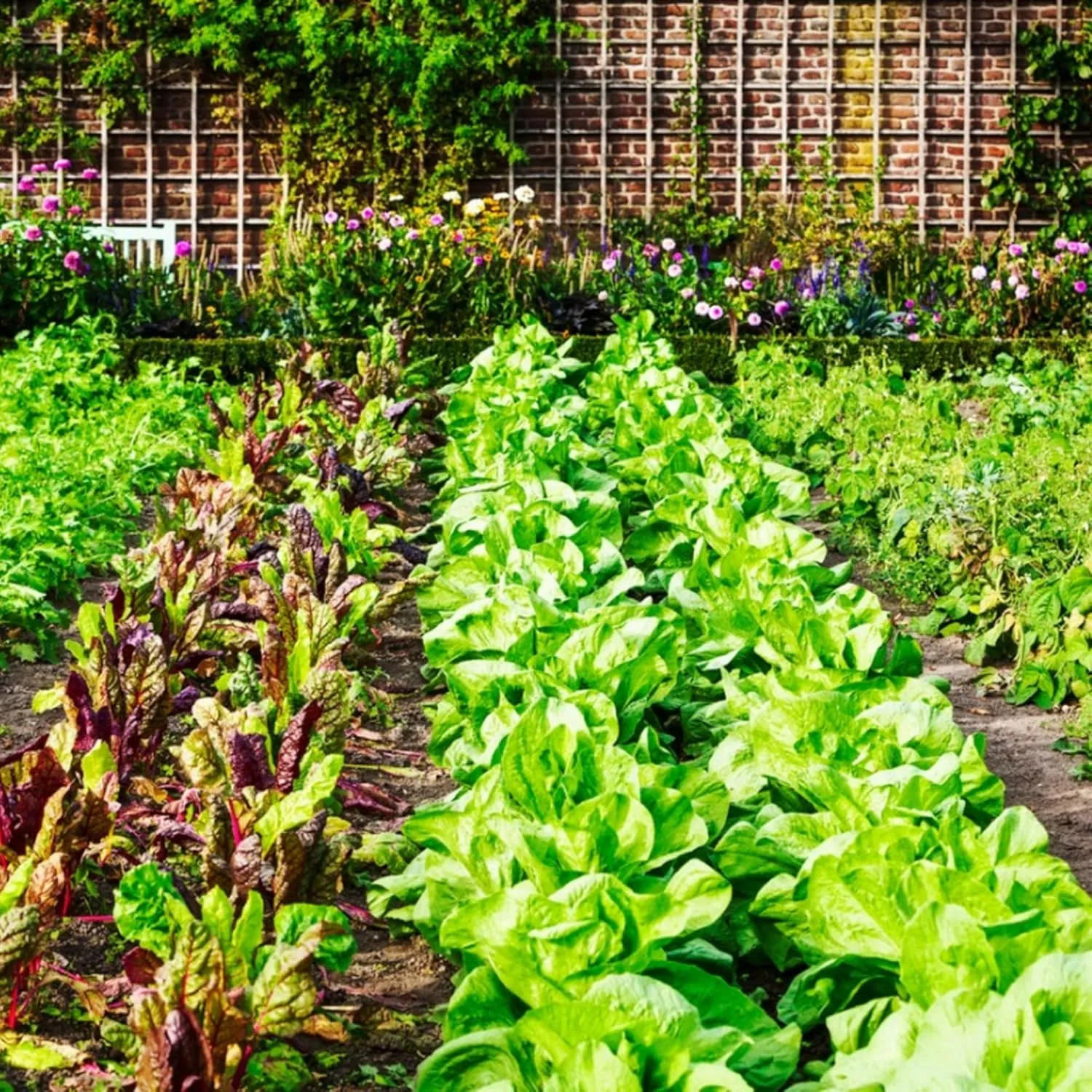 Vapor Barrier Supply - 3.2oz Premium Landscape Fabric Heavy Duty - (15' x 300') - Commercial Grade Landscape Fabric, Woven Landscaping Fabric, Ground Cover for Gardening, Farming, Agriculture